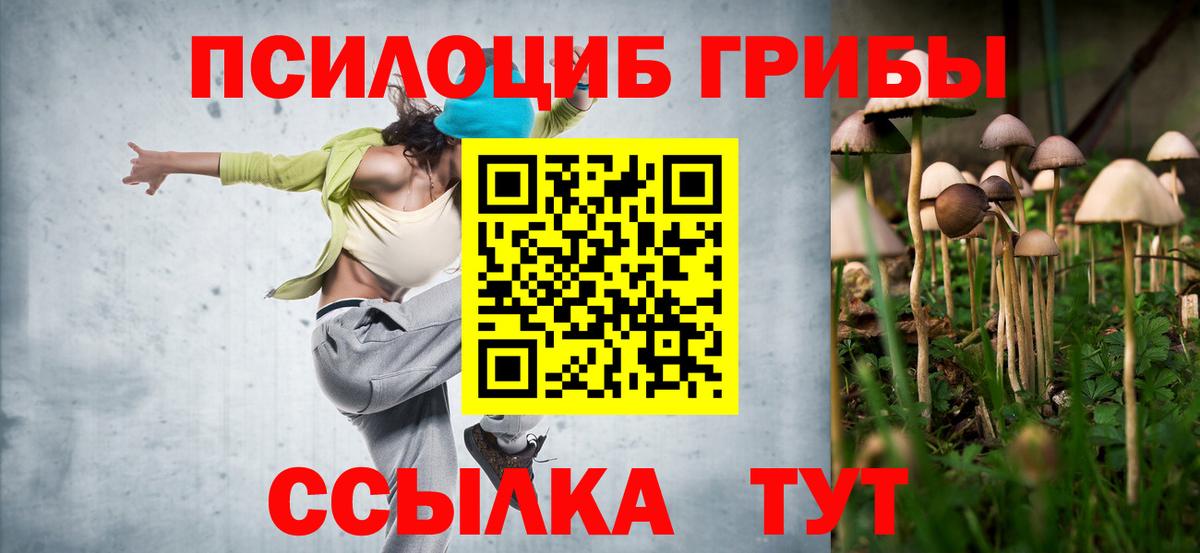 Псилоцибиновые грибы мицелий  Галлюциногенные грибы мухоморы  Карасук  Вход с VPN 